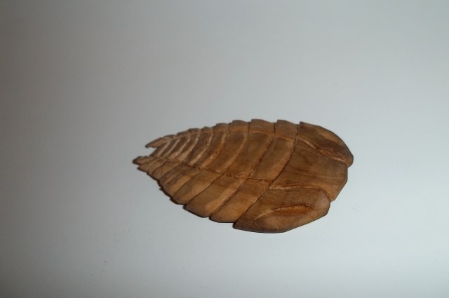 R.I.P TRILOBITES, 521 MILLION YEARS AGO TO 250 MILLION YEARS AGO. NEVER FORGET