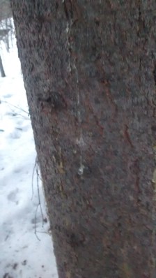 IMG_20160206_173429703